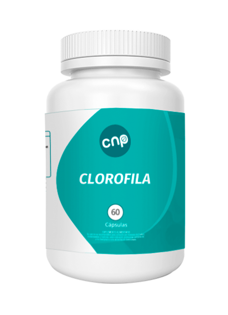 CLOROFILA